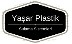 Kasa ve Buatlar